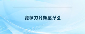 競爭力分析是什么