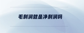 毛利潤就是凈利潤嗎