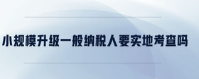 小規(guī)模升級一般納稅人要實(shí)地考查嗎