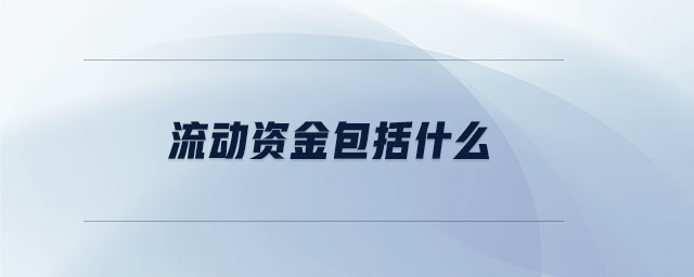 流動資金包括什么