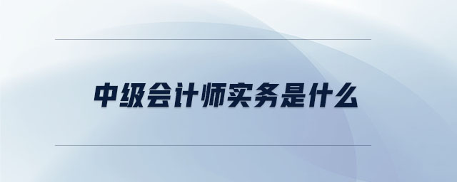 中級會計師實務(wù)是什么