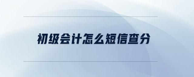 初級(jí)會(huì)計(jì)怎么短信查分