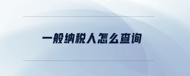 一般納稅人怎么查詢