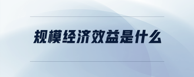 規(guī)模經(jīng)濟(jì)效益是什么