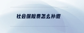 社會保險費怎么補繳
