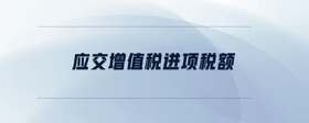 應(yīng)交增值稅進(jìn)項(xiàng)稅額