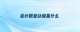 會(huì)計(jì)職業(yè)認(rèn)知是什么