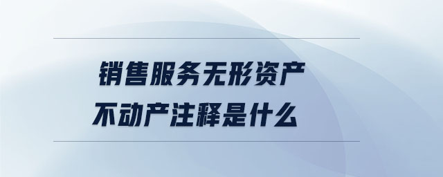 銷售服務(wù)無形資產(chǎn)不動產(chǎn)注釋是什么