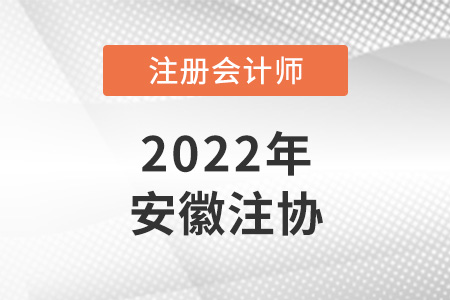 安徽省巢湖注冊會計(jì)師協(xié)會官網(wǎng)是哪個？