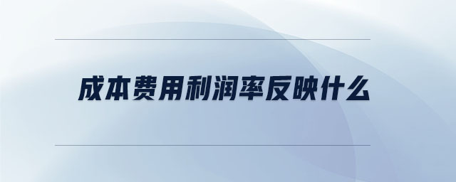 成本費(fèi)用利潤率反映什么