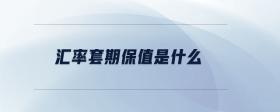 匯率套期保值是什么