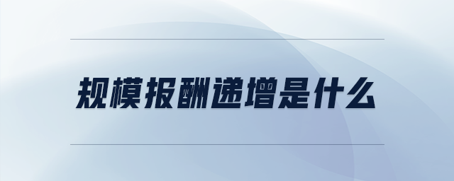 規(guī)模報酬遞增是什么