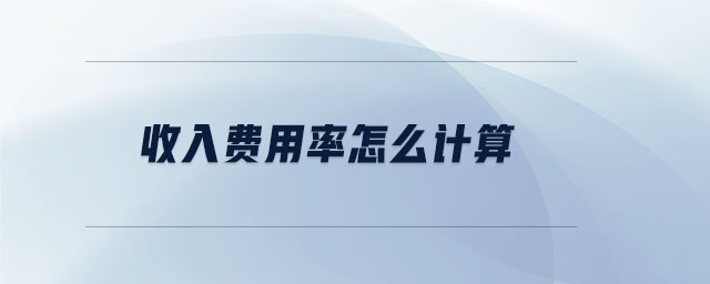 收入費(fèi)用率怎么計算