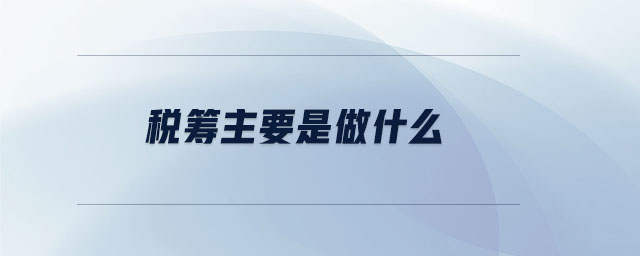 稅籌主要是做什么
