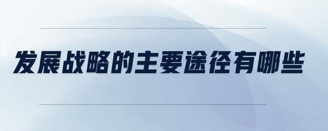 發(fā)展戰(zhàn)略的主要途徑有哪些