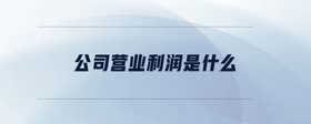 公司營(yíng)業(yè)利潤(rùn)是什么