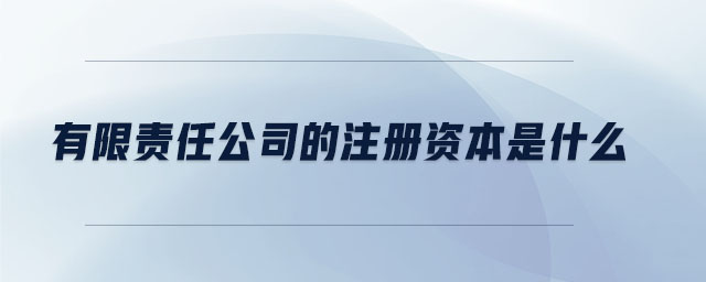 有限責(zé)任公司的注冊(cè)資本是什么