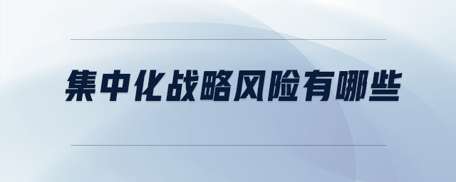 集中化戰(zhàn)略風(fēng)險(xiǎn)有哪些