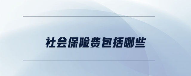 社會(huì)保險(xiǎn)費(fèi)包括哪些