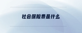 社會(huì)保險(xiǎn)費(fèi)是什么