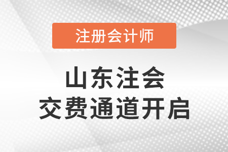 2022年山東注冊會計師考試交費通道開啟！