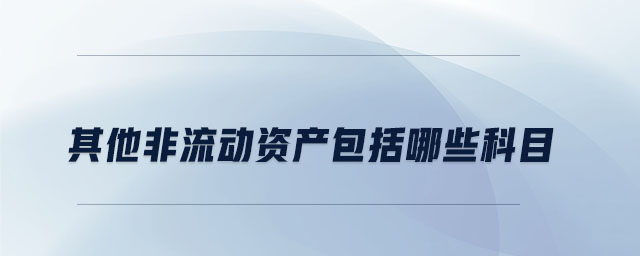 其他非流動資產(chǎn)包括哪些科目