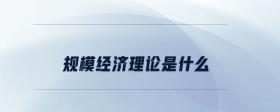 規(guī)模經(jīng)濟(jì)理論是什么