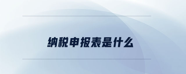 納稅申報表是什么