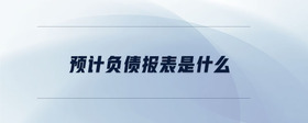 預(yù)計(jì)負(fù)債報(bào)表是什么