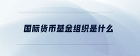 國際貨幣基金組織是什么