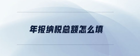 年報(bào)納稅總額怎么填