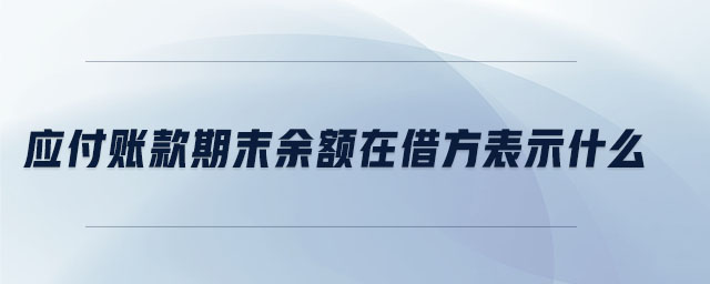 應(yīng)付賬款期末余額在借方表示什么