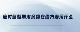 應(yīng)付賬款期末余額在借方表示什么