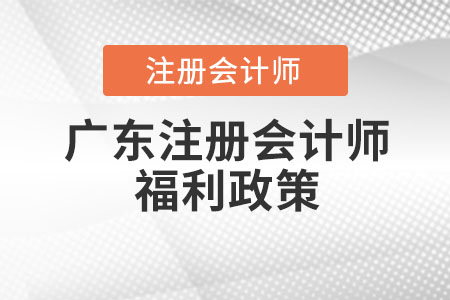 廣東注冊(cè)會(huì)計(jì)師福利政策