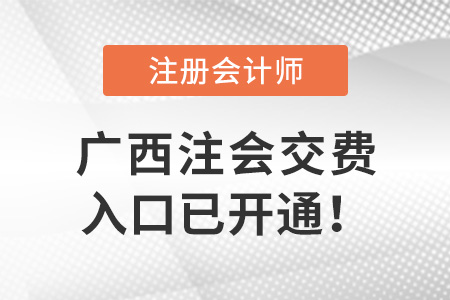 2022年廣西自治區(qū)南寧注冊會計師考試6月15日開始交費！