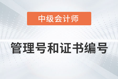 中級(jí)會(huì)計(jì)證管理號(hào)和證書編號(hào)有什么區(qū)別你知道嗎？