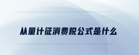 從量計征消費(fèi)稅公式是什么