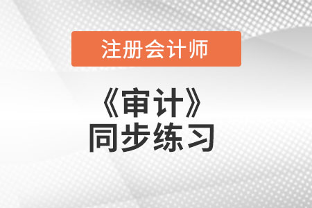 注冊會計師 注冊會計師