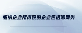 繳納企業(yè)所得稅的企業(yè)包括哪兩類