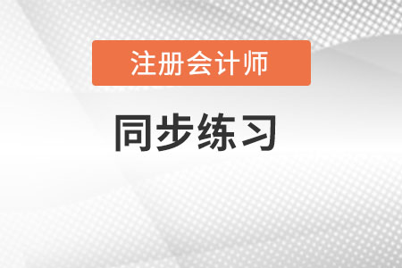 注冊(cè)會(huì)計(jì)師
