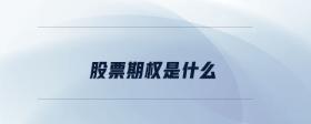 股票期權(quán)是什么