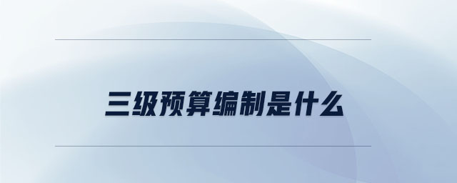 三級(jí)預(yù)算編制是什么