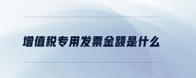 增值稅專用發(fā)票金額是什么