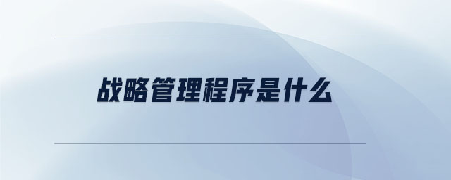 戰(zhàn)略管理程序是什么