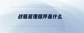 戰(zhàn)略管理程序是什么