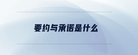 要約與承諾是什么