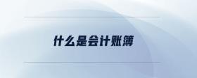 什么是會(huì)計(jì)賬簿