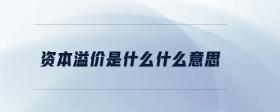 資本溢價是什么什么意思