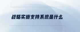 戰(zhàn)略實(shí)施支持系統(tǒng)是什么