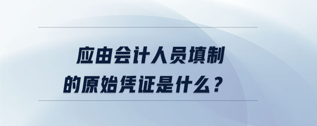 應(yīng)由會計人員填制的原始憑證是什么？
